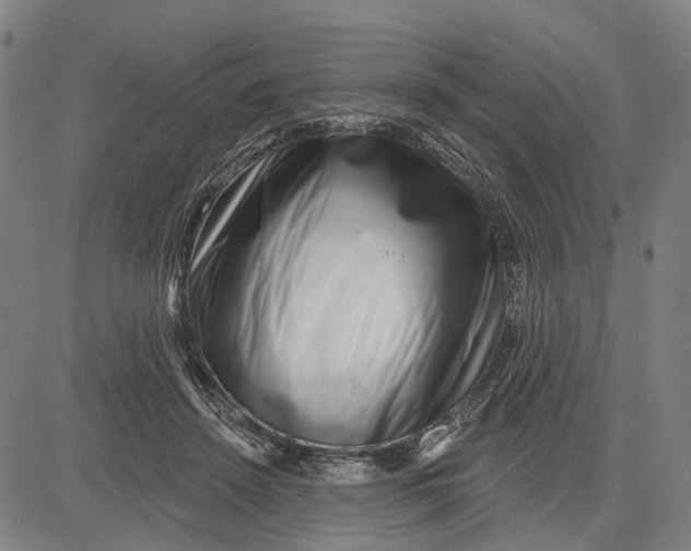 X0000081440456200702021721