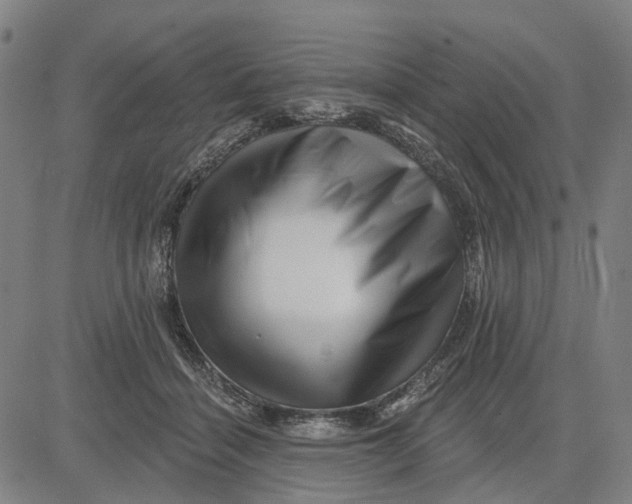 X0000081440460200702021721