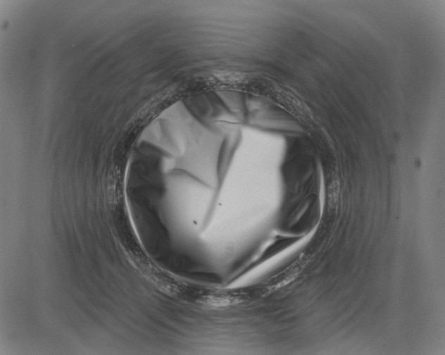 X0000081440464200702021722