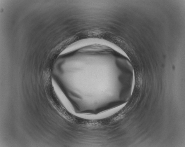 X0000081440468200702021722