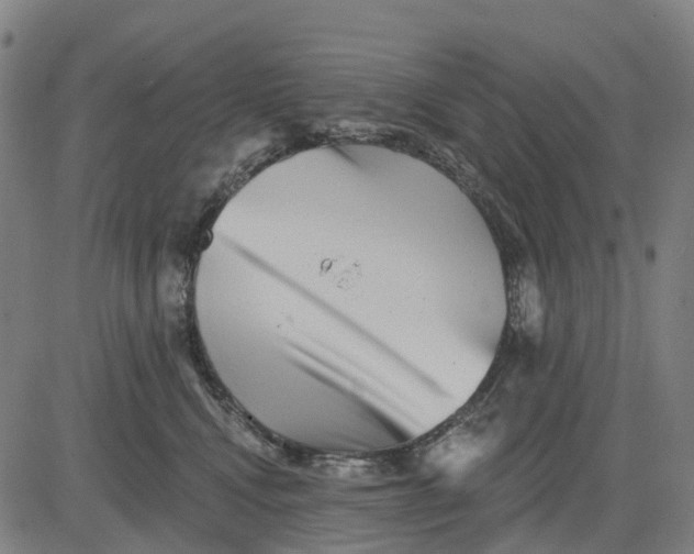 X0000081440472200702021722