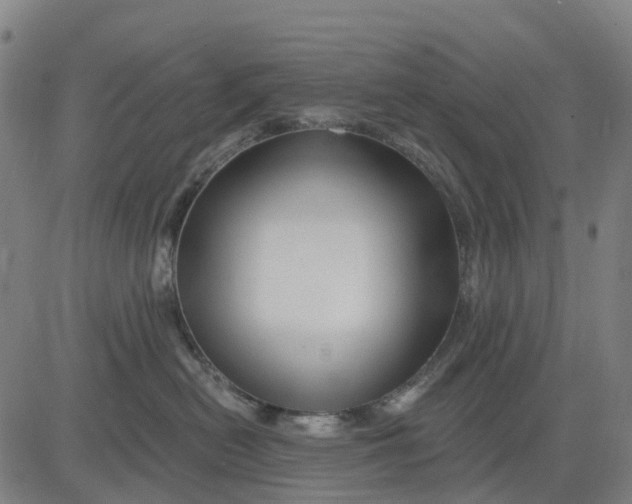 X0000081440478200702021722