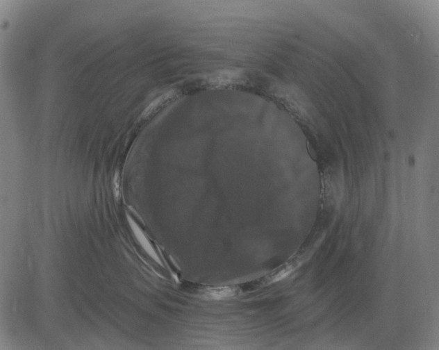 X0000081440479200702021722