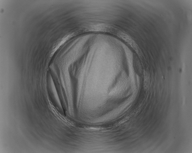 X0000081440482200702021721