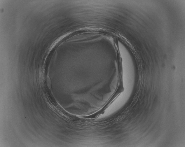 X0000081440484200702021721