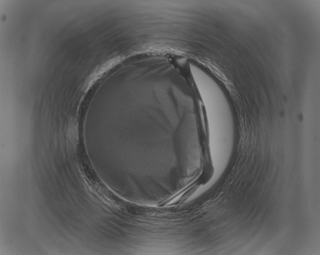 X0000081440488200702021721