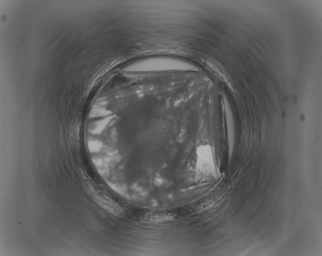X0000081440491200702021721