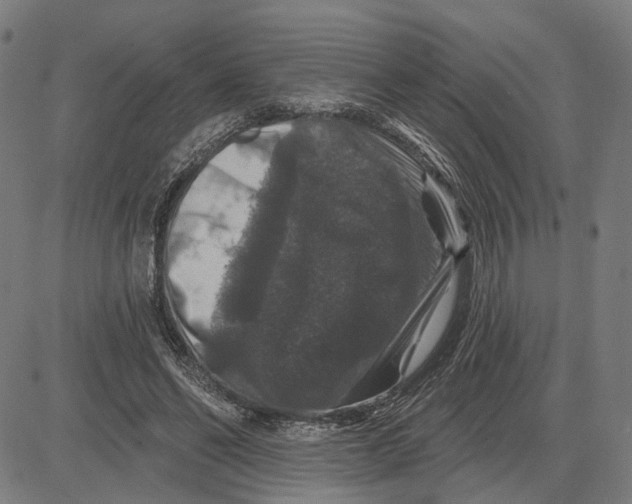 X0000081440494200702021721
