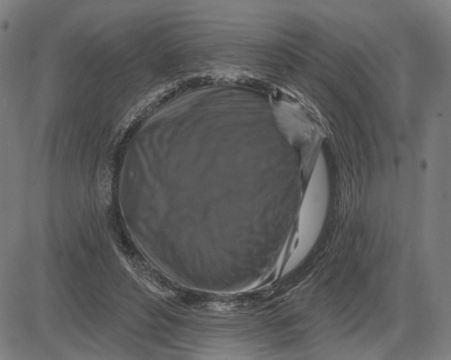 X0000081440496200702021721