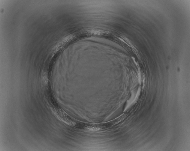 X0000081440500200702021721