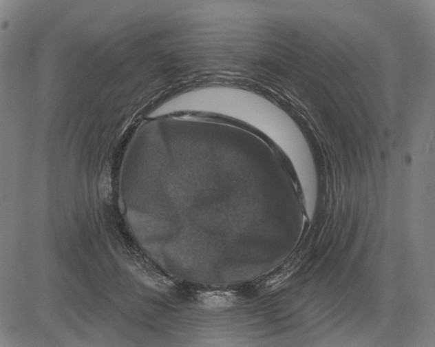X0000081440508200702021721