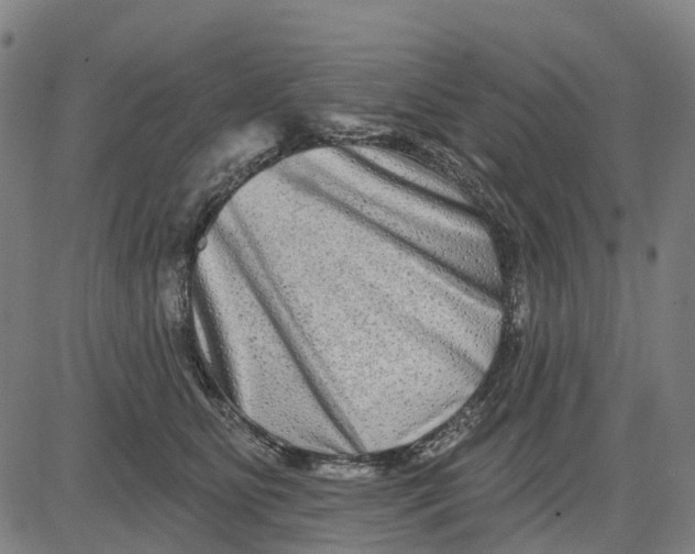 X0000081440515200702021720