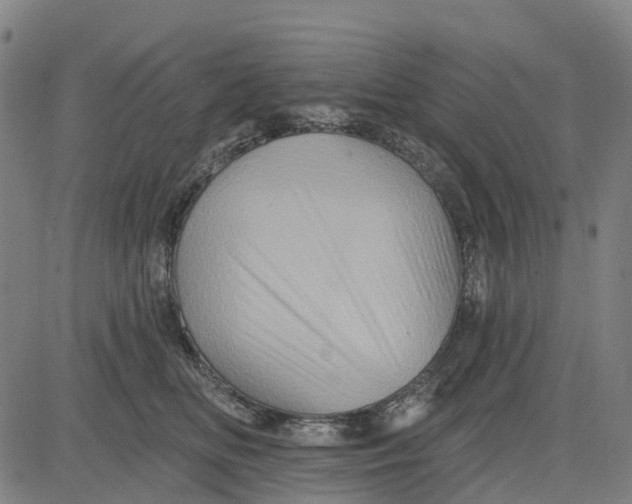 X0000081440518200702021720