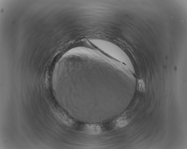X0000081440520200702021720