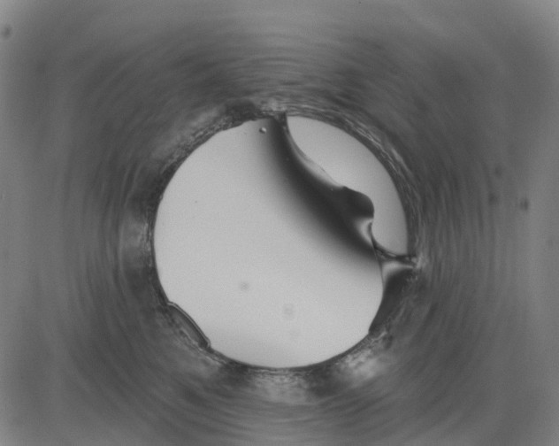 X0000081440521200702021720
