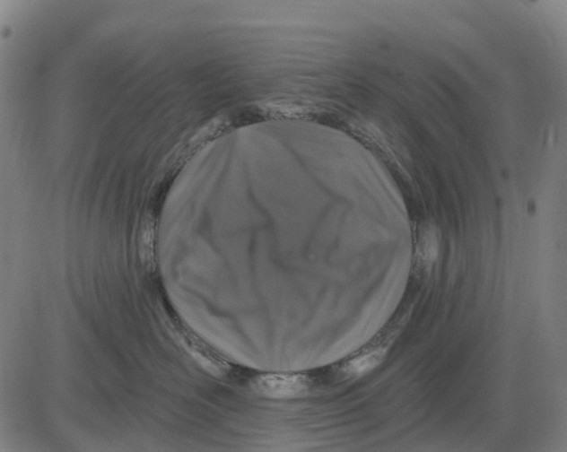 X0000081440526200702021720