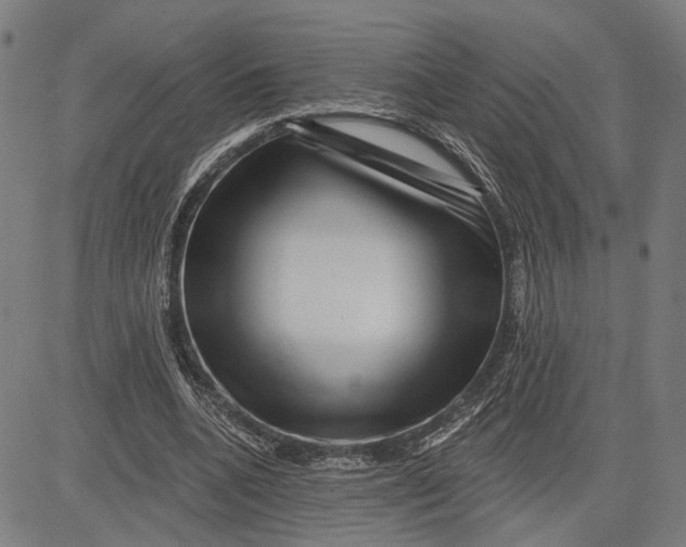 X0000081440536200702021720