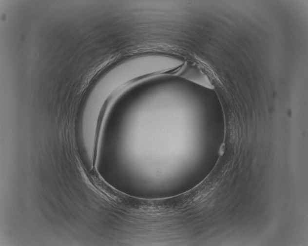 X0000081440538200702021720