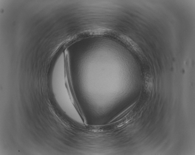X0000081440543200702021720