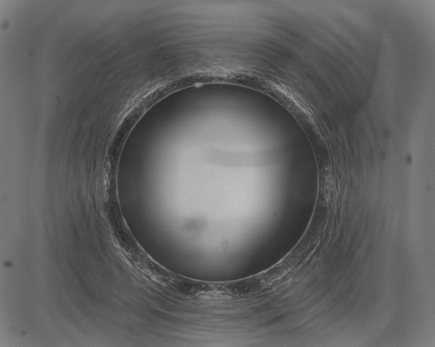 X0000081440544200702021720
