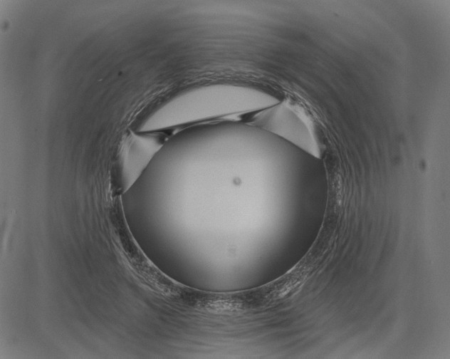 X0000081440546200702021720
