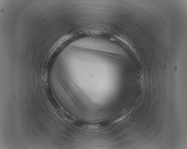 X0000081440548200702021720