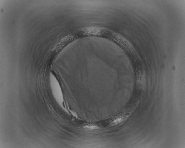 X0000081440551200702021720