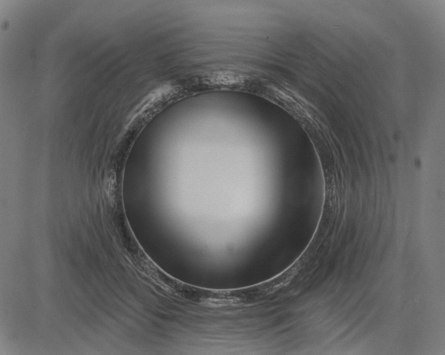 X0000081440556200702021720