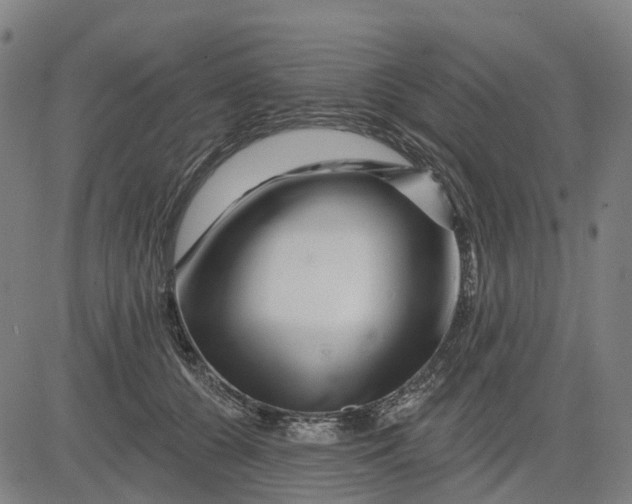 X0000081440560200702021720