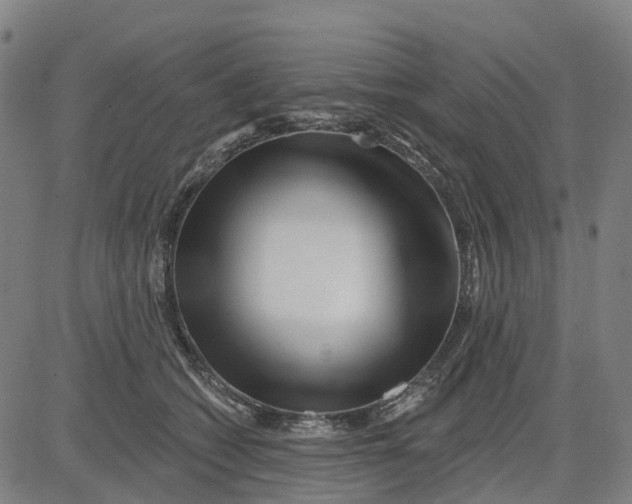 X0000081440562200702021720