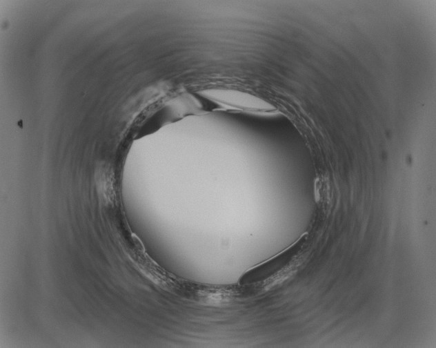 X0000081440564200702021720