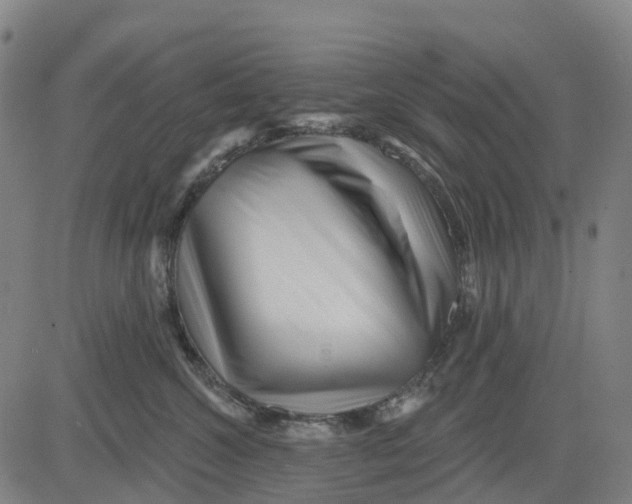 X0000081440572200702021720