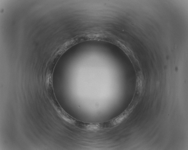 X0000081440574200702021720