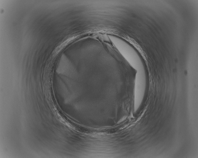 X0000081440577200702021719