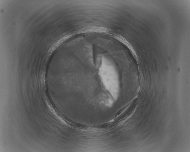 X0000081440581200702021719