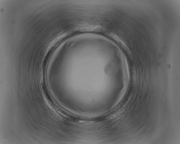 X0000081440582200702021719