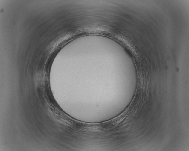X0000081440583200702021719