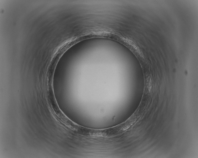 X0000081440587200702021719
