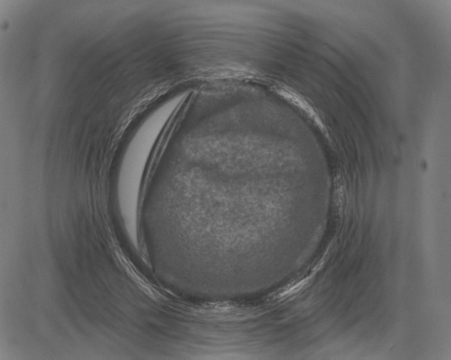 X0000081440589200702021719