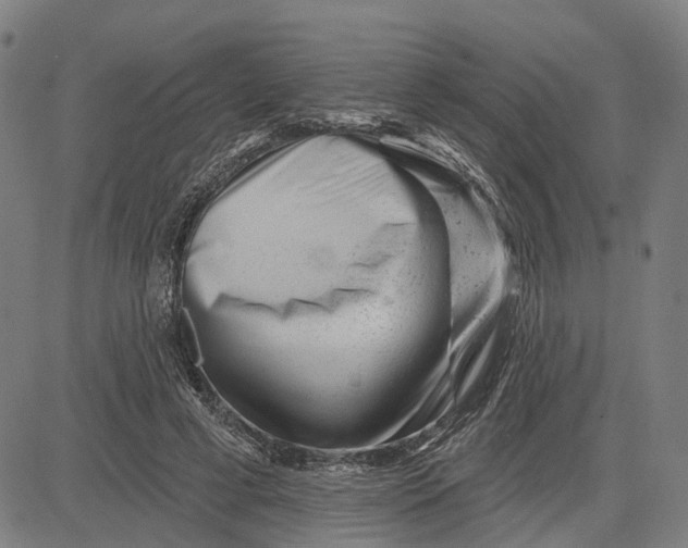 X0000081440593200702021719