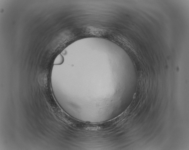 X0000081440595200702021719