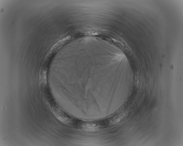 X0000081440598200702021719