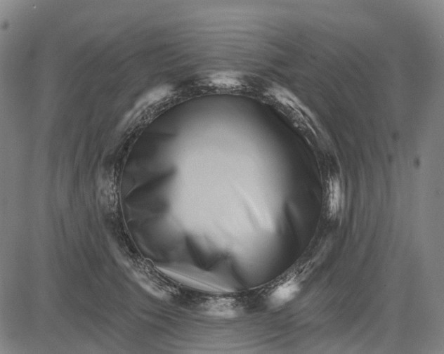 X0000081440609200702021719