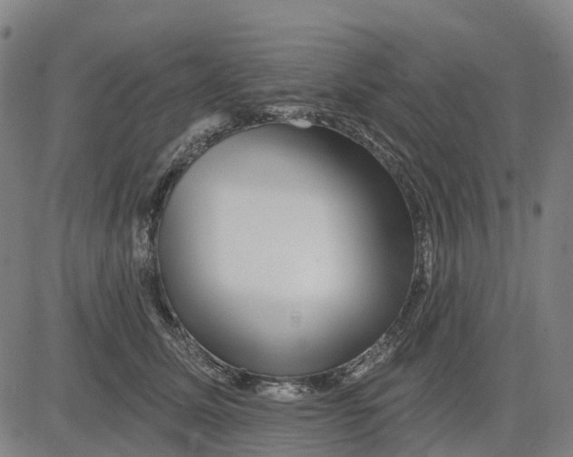 X0000081440611200702021719