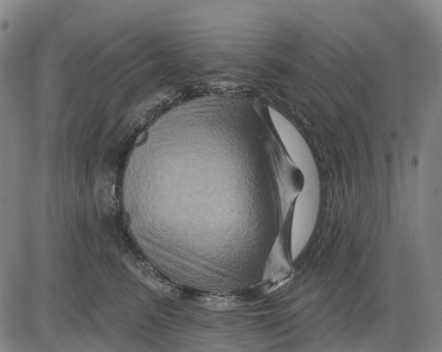 X0000081440615200702021719