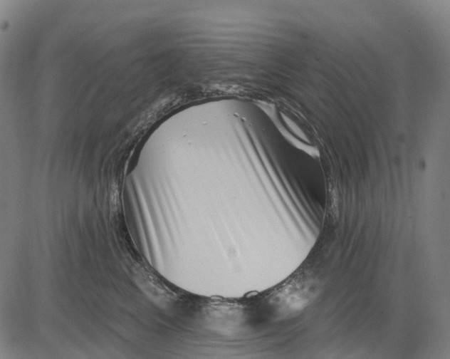 X0000081440617200702021719