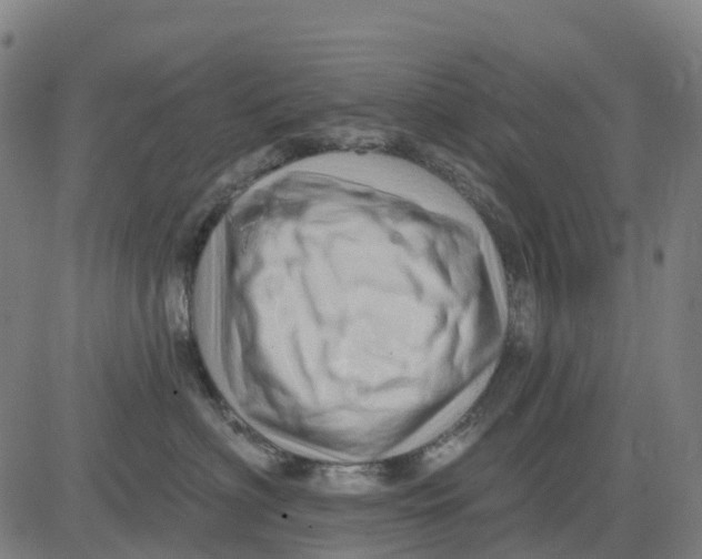 X0000081440622200702021719
