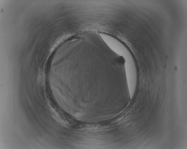 X0000081440626200702021718