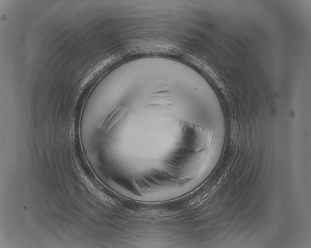 X0000081440629200702021718