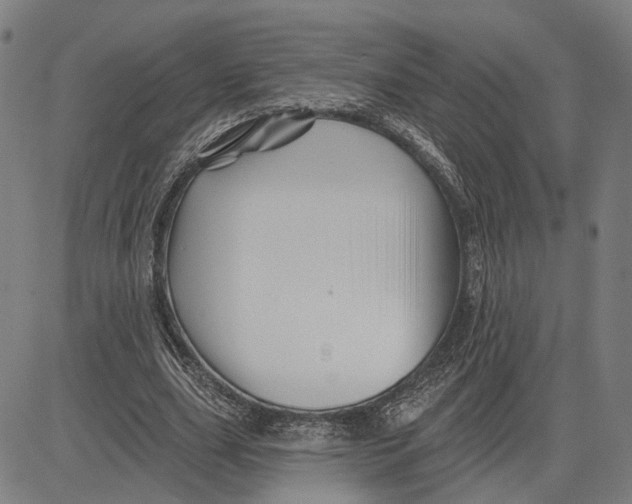 X0000081440631200702021718